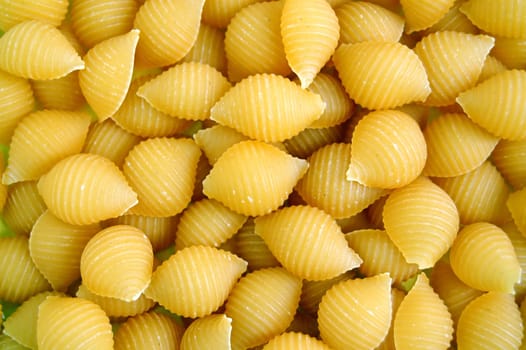 shells pasta