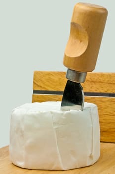 Cheese