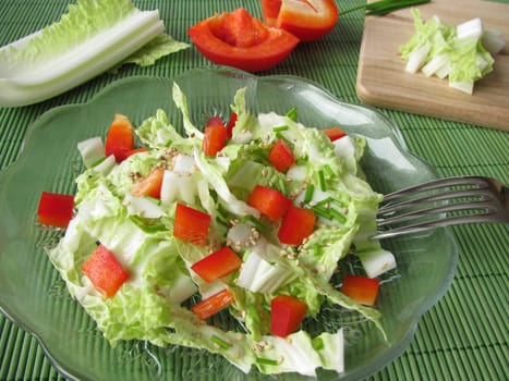 Chinese cabbage and red pepper salad