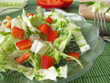 Chinese cabbage and red pepper salad
