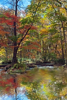 Fall of Oirase, Japan