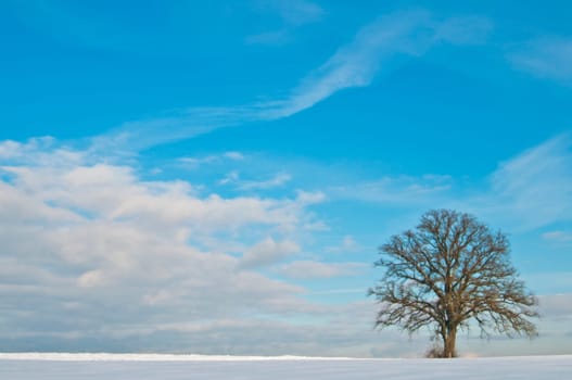 winter or winter snow or winter ice or winter deep snow