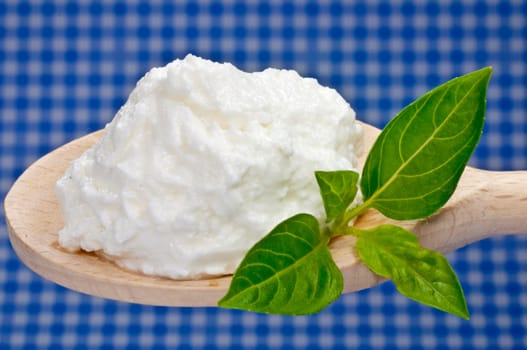 Fresh goat cheese