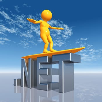 NET Top Level Domain