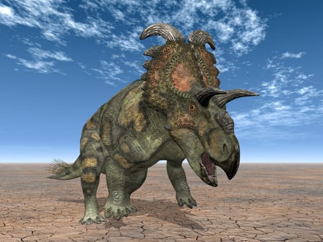 Dinosaur Albertaceratops
