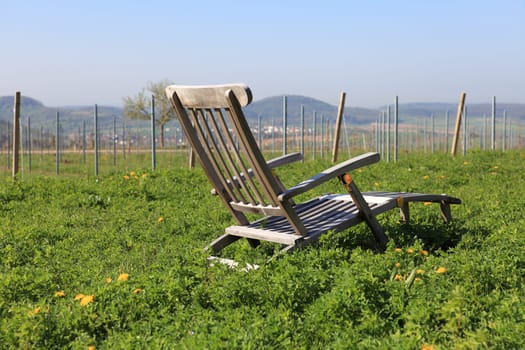Vineyard with deckchair