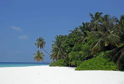 Maldives Island