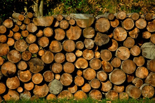 Wood.....
