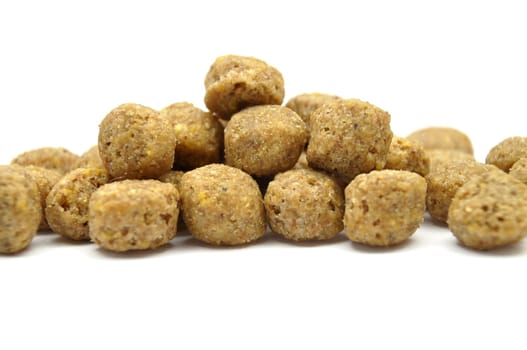 Dog food