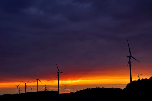 wind turbines during beautiful sunset