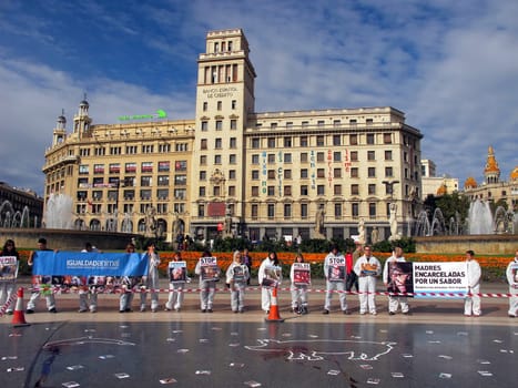 Animal welfare demonstration