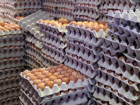 Eggs Mass Production 2