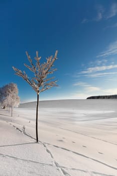 Wintertime...