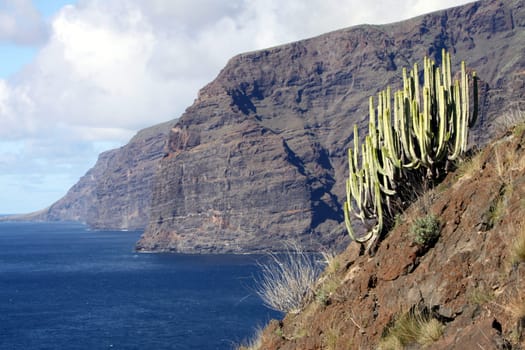Los Gigantes