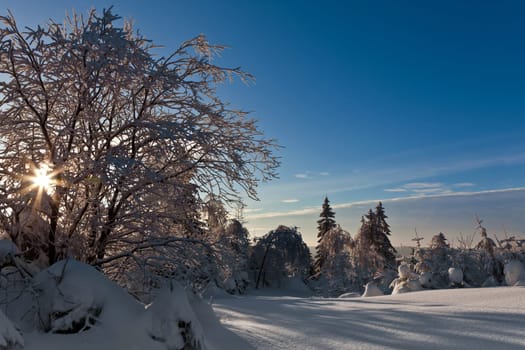 Sunrise in winter .......
