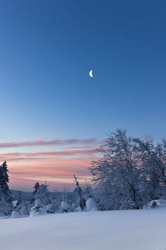 Sunrise in winter ......