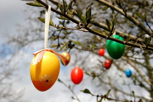 Hanging Easter eggs on a branch