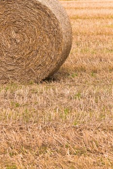 Single straw bale in field 02