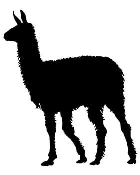 Llama Silhouette