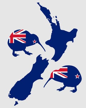 New Zealand's kiwifruit