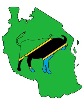 Tanzania Buffalo