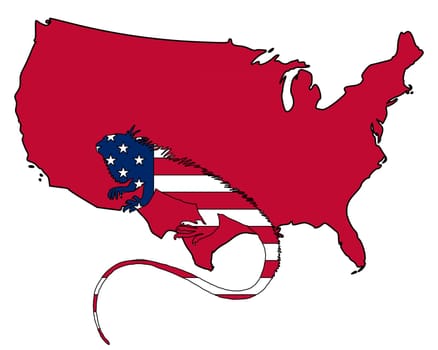 Iguana USA