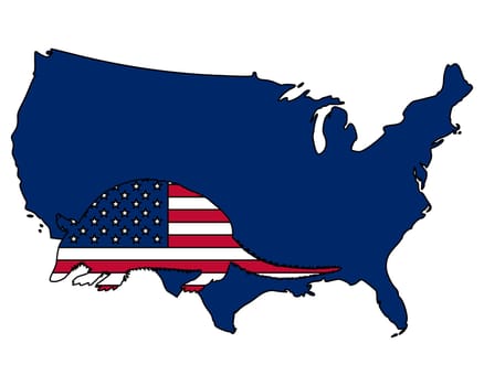 Armadillo USA