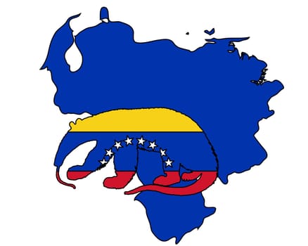 Anteater Venezuela