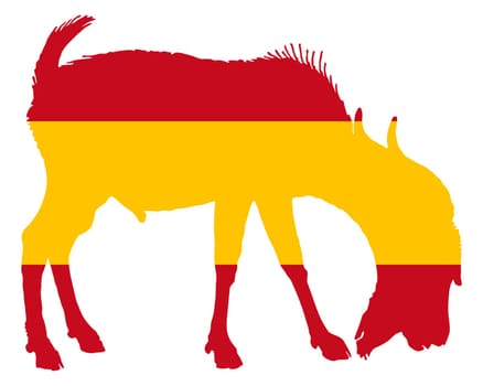 Spanish billy goat