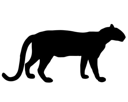 Silhouette Leopard