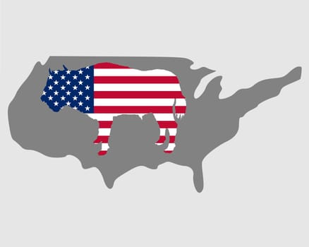 Buffalo