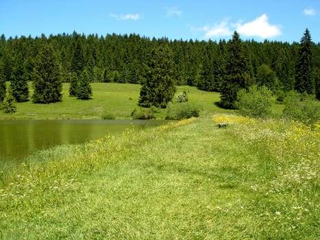Pond in the mountain