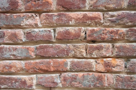 brick wall