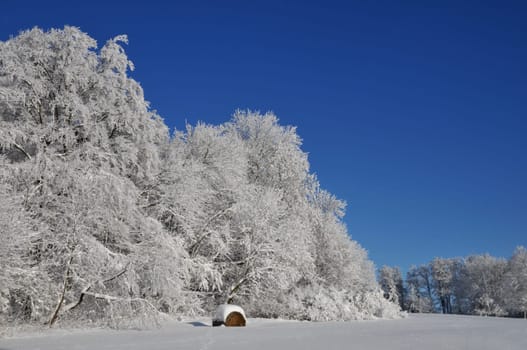 Recorded in the Harz Mountains