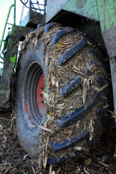 Dirty tire
