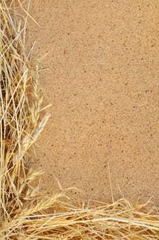 Detail of dry grass hay and OSB, oriented strand board - frame