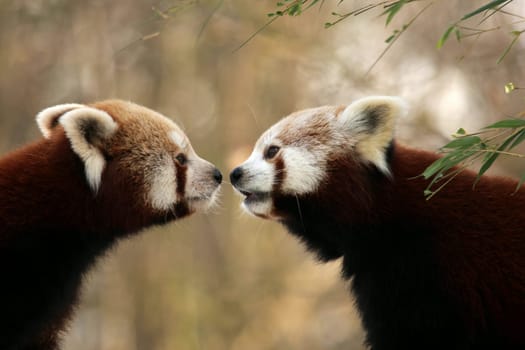 Togetherness