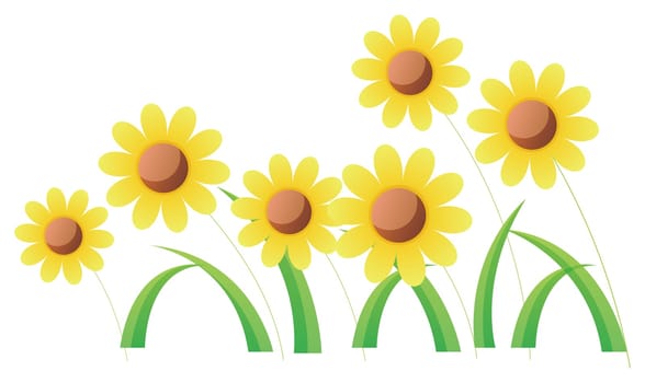 yellow wild flower