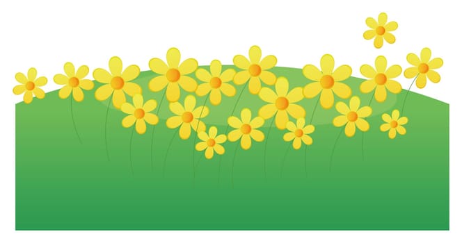 yellow flower and green lawn