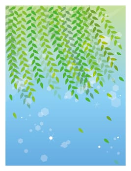 Willow
