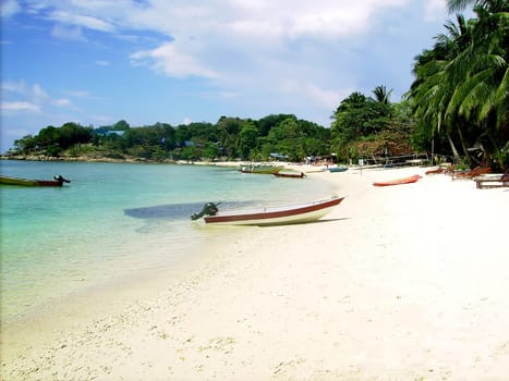 tropical beach