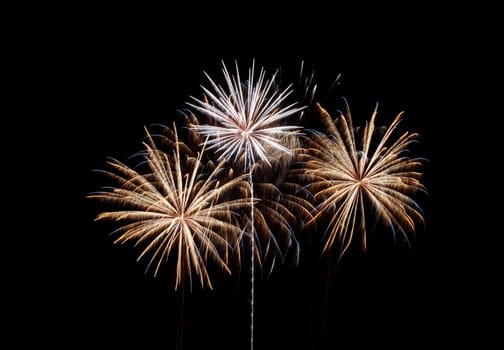 Fireworks celebration