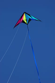 Kite flying high