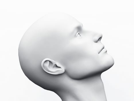 White Male Head - 23