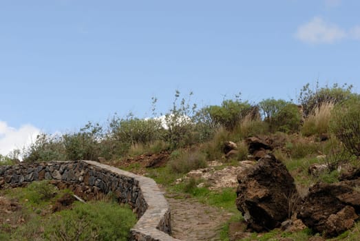 Path 1