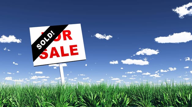 Shield in the Grass - Sold