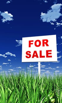 Shield in the Grass - For Sale 02