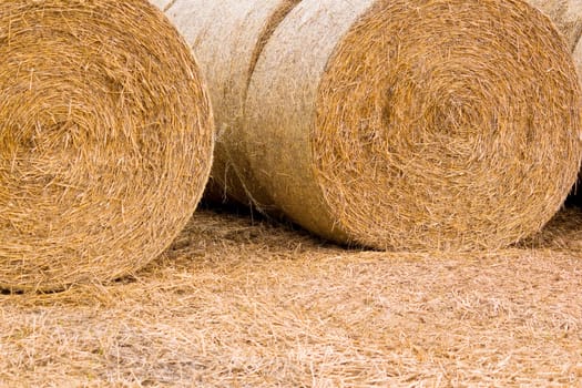 Straw bales in row 02