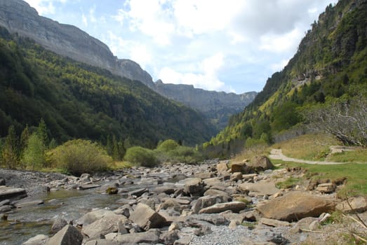 Mountain stream