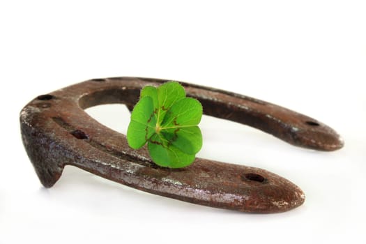 Horseshoe with lucky clover